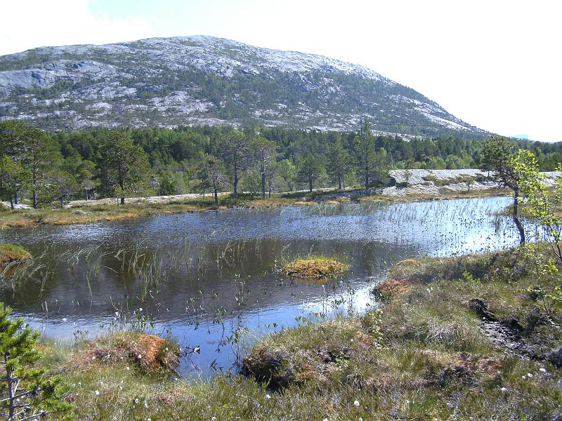 Nordkap 2009 438.jpg